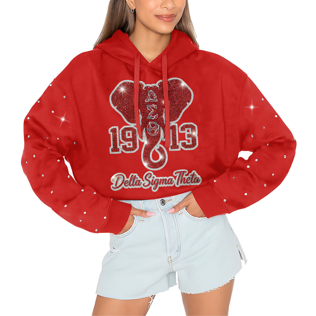 DST Rhinestone Cropped Pullover Hoodie HTTT